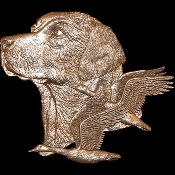 Hunting Dog